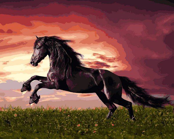 Купити Картина за номерами. Стрибок коня  в Україні