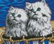 Алмазна мозаїка Одеські котики, Без підрамника, 57 х 70 см