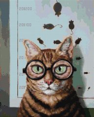 Купити Алмазна мозаїка на підрамнику. Перевірка зору котика ©Lucia Heffernan (40 x 50 см, набір для творчості)  в Україні