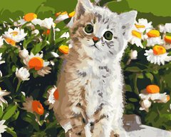 Купити Картина за номерами. Кот і ромашки  в Україні