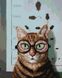 Алмазная мозаика на подрамнике. Проверка зрения котика © Lucia Heffernan (40 x 50 см, набор для творчества), С подрамником, 40 x 50 см