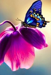 Купити Алмазна мозаїка на підрамнику. Метелик на квітці  в Україні