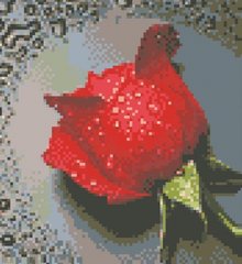 Купити Діамантова вишивка Роса на червоній троянді  в Україні