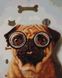 Алмазна мозаїка на підрамнику. Перевірка зору собачки ©Lucia Heffernan (40 x 50 см, набір для творчості), З підрамником, 40 x 50 см