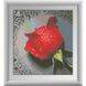 Діамантова вишивка Роса на червоній троянді, Без підрамника, 22 х 24 см