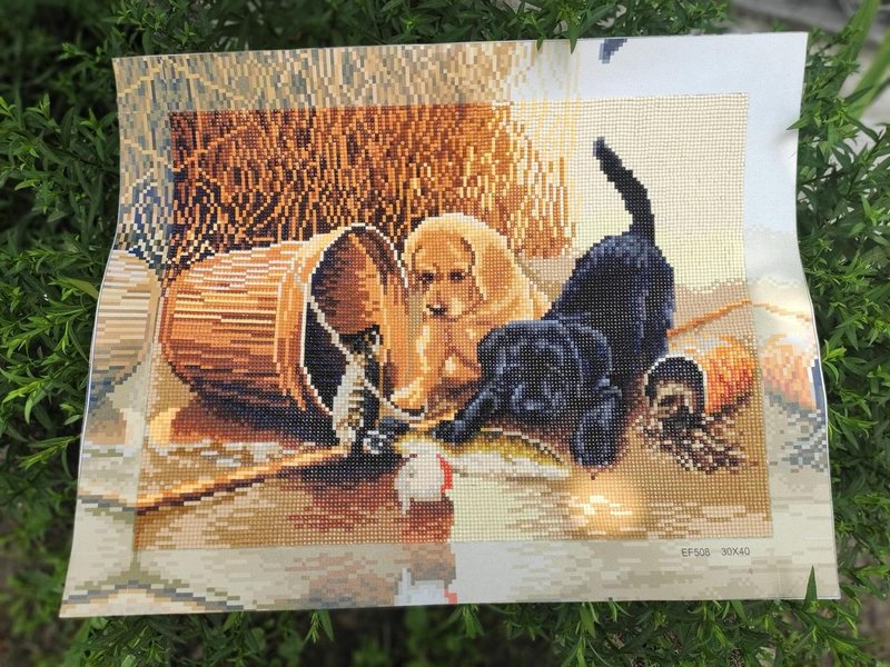 Купити Алмазна мозаїка 30х40 Грайливі собачки ST400  в Україні