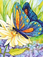 Купить Алмазная мозаика Бабочка на цветке  в Украине