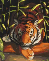 Купити Картина за номерами без коробки. Бенгальський тигр  в Україні