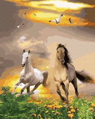 Купити Картина за номерами без коробки Пара конів (золоті фарби)  в Україні