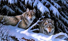 Купити Вишивка камінням за номерами Вовки на снігу  в Україні