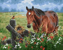 Купить Картина по номерам без коробки. Лошадь на лугу  в Украине