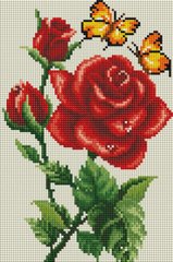 Купити Алмазна мозаїка 20х30 Роза і метелики DT714  в Україні