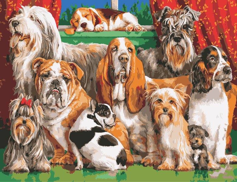 Купити Картина за номерами. Велика компанія собак  в Україні