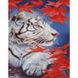 Алмазна мозаїка на підрамнику. Білий тигр (30 х 40 см, набір для творчості, картина стразами), З підрамником, 30 х 40 см