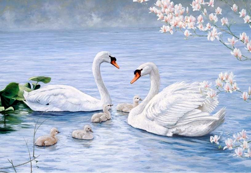 Купить Алмазная мозаика на подрамнике. Лебеди на пруду  в Украине