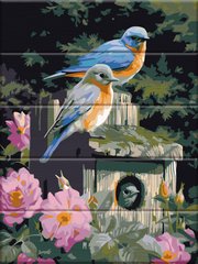 Купити Картина за номерами на дереві. Птахи в кольорах  в Україні