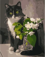 Купити Картина за номерами Кіт з квітами  в Україні