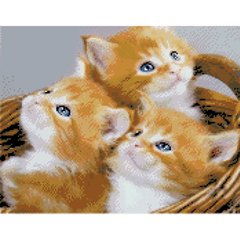 Купити Алмазна мозаїка на підрамнику. Кошик з кошенятами (круглими камінчаками, 40 x 50 см)  в Україні
