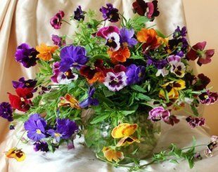 Купити Алмазна мозаїка на підрамнику. Братки  в Україні