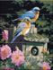 Картина за номерами на дереві. Птахи в кольорах, Подарункова коробка, 30 х 40 см