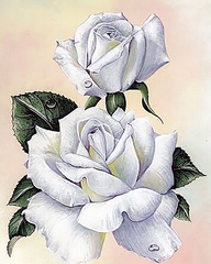 Купити Алмазна мозаїка. Біла троянда 50 х 40 см  в Україні