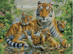 Купити Алмазна мозаїка по номерам круглими камінчиками (на підрамнику). Сімейство тигрів  в Україні