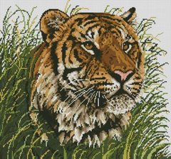 Купити Алмазна мозаїка Спостерігач Тигр  в Україні