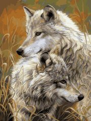 Купити Картина за номерами. Степові вовки  в Україні