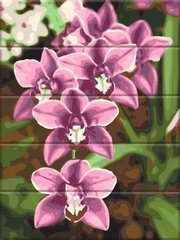 Купити Картина за номерами на дереві Рожеві орхідеї  в Україні