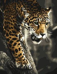 Купить Картина по номерам. Хищник в джунглях  в Украине