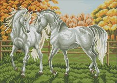 Купити Алмазна мозаїка за номерами. Пара білих коней  в Україні