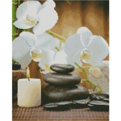Купити Алмазна мозаїка на підрамнику. Білі орхідеї (круглими камінчаками, 40 x 50 см)  в Україні
