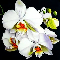 Купить Набор алмазной вышивки. Белая орхидея-3  в Украине