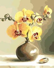 Купити Картина за номерами. Жовті орхідеї  в Україні