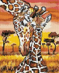 Купити Алмазна мозаїка за номерами (на підрамнику). Маленький жираф  в Україні