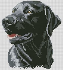 Купити Алмазна мозаїка Щасливий пес  в Україні