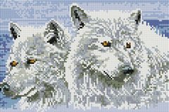 Купити Алмазна мозаїка 20х30 Пара вовків DT715  в Україні