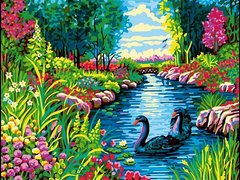 Купить Картина по номерам. Черные лебеди  в Украине