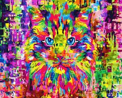 Купить Картина по номерам без коробки. Цветной кот  в Украине