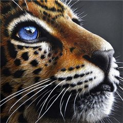 Купить Набор алмазной выкладки 30х30 см. Взгляд леопарда (мозаика по номерам) квадратные камешки, полная выкладка полотна  в Украине