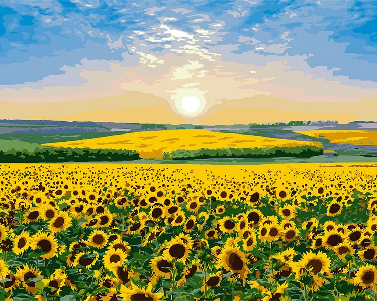 Купити Картина розмальовка по номерах. Соняшниковий рай.  в Україні