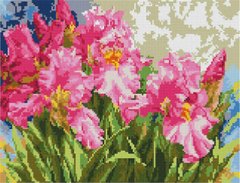 Купити Алмазна мозаїка Рожеві іриси 30х40 ST466  в Україні
