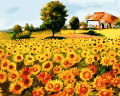 Купити Картина за номерами. Поле соняшників  в Україні