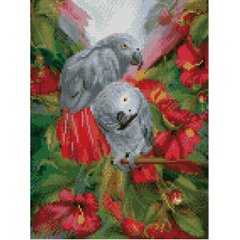 Купить Алмазная мозаика на подрамнике. Экзотические попугаи (круглые камушки, 30x40 см)  в Украине