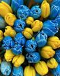 Купити Алмазна мозаїка на підрамнику. Жовто-сині тюльпани (40 х 50 см, набір для творчості, картина стразами)  в Україні