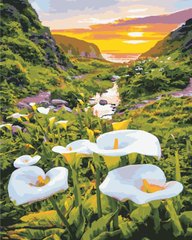 Купити Картина за номерами. Квіти в горах  в Україні