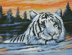 Купити Алмазна вишивка Тигр на заході  в Україні
