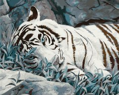 Купити Набір для малювання по цифрам. Білий тигр (без коробки)  в Україні