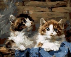 Купить Картина по номерам. Милые котята  в Украине