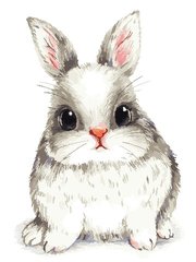 Купити Картина за номерами без коробки. Пухнастий кролик  в Україні